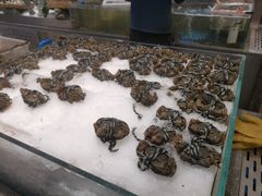 -半岛听涛蒸汽海鲜自助(K11店)