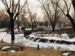 -燕郊植物园