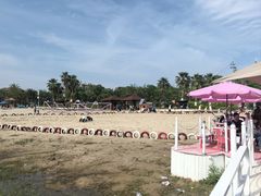 -九龙湖公园