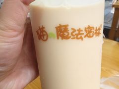 -猫的魔法密林(衣裳街店)