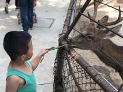 -祥源·阜阳生态乐园