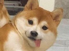 -大渝火锅(苏州西城永捷店)