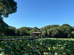 -兰亭风景区