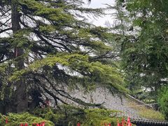 -函谷关历史文化旅游区