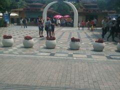 android_upload_pic-热带风暴水上乐园
