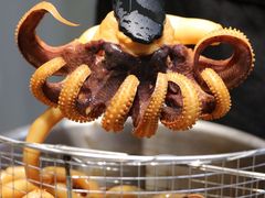-凤城·食都