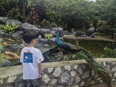 -吉隆坡雀鸟公园
