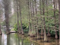 -荔枝公园(福田区)