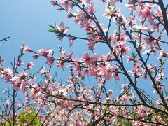 -贵阳市花溪国家城市湿地公园