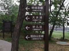 -阳台山自然风景区