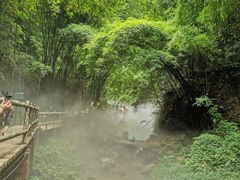-川西竹海景区