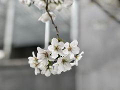 -静安雕塑公园