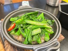 虾酱啫芥兰-美极鲜食坊(宝安南路店)