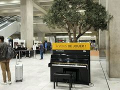 -戴高乐机场火车站