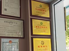 -天使宠物医院·犬猫分诊(彩虹店)