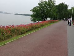 -艾溪湖湿地公园