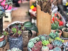 -秦美花卉(天朗·莱茵小城2期店)