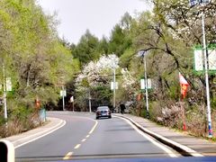 -帽儿山国家森林公园