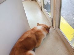 -餐酒吧Com-ing Bar(上海路店)