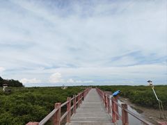 -北海金海湾红树林生态旅游区