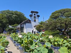 -无锡蠡湖国家湿地公园-蠡园