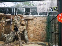 -泉州海丝野生动物世界