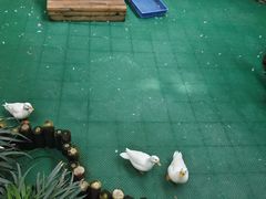 -南宫五洲植物乐园