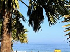 -大梅沙海滨公园