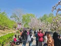 -元大都城垣遗址公园