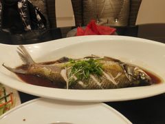 清蒸武昌鱼-亢龙太子酒轩(东湖店)