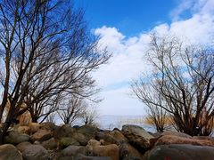 -上海吴淞炮台湾国家湿地公园