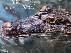 -北京动物园