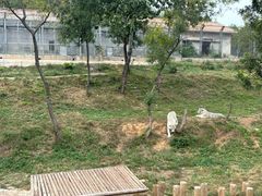 -石家庄市动物园