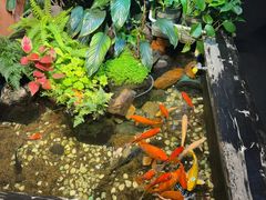 -隐炉和牛烧肉店(群力店)