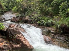 -广州白江湖森林公园