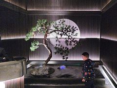 -大拙里·精致融合菜(沙湖桃源国际店)