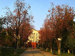 -北京邮电大学