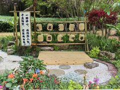 -济南森林公园