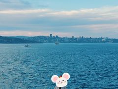 -沃森湾
