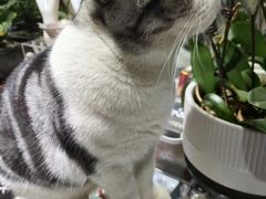 -百金通黄金回收首饰定制维修(珠江路总部)