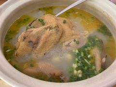 白果炖鸡汤-刘土鸡家常菜
