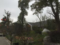 景点-上海海湾国家森林公园