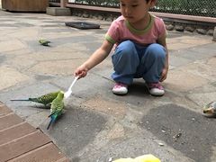 景点-南宫五洲植物乐园