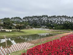 -迪茵湖田家舍生态农场