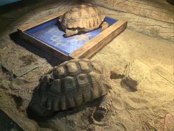 -Zoolung Zoolung动物主题公园(海信广场店)