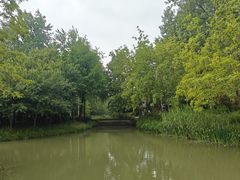-合肥滨湖国家森林公园