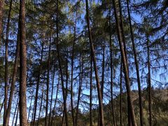 -硗碛藏寨·神木垒景区