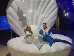 -烟台海昌鲸鲨海洋公园