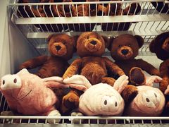 -宜家家居(哈尔滨商场店)