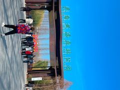 -黄海国家森林公园